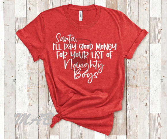 Santa I'll pay good money for your list of naughty boys T-shirt